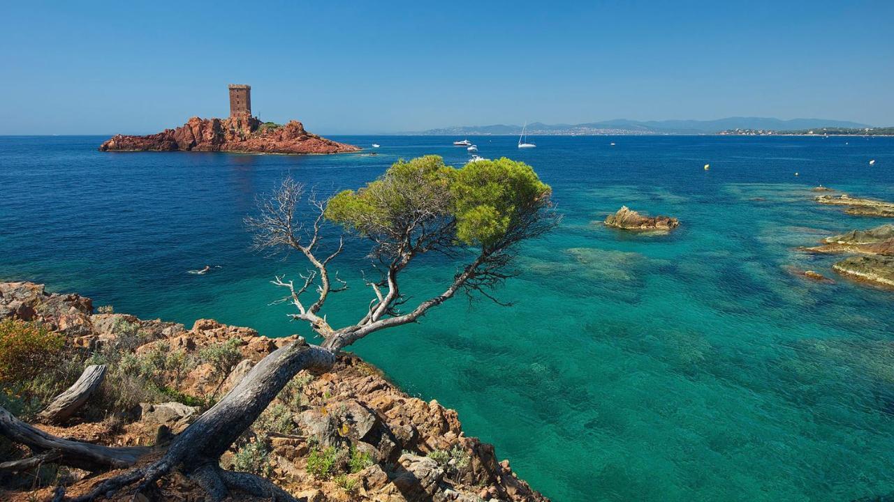 Chez Julie Apartment Saint-Raphaël Екстериор снимка